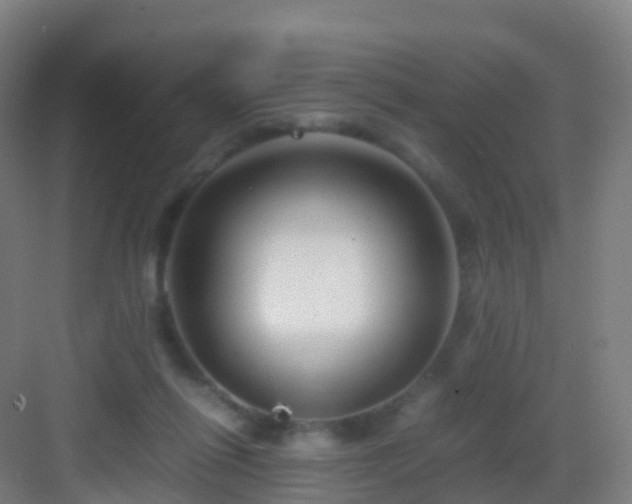 X0000083060262200702091512