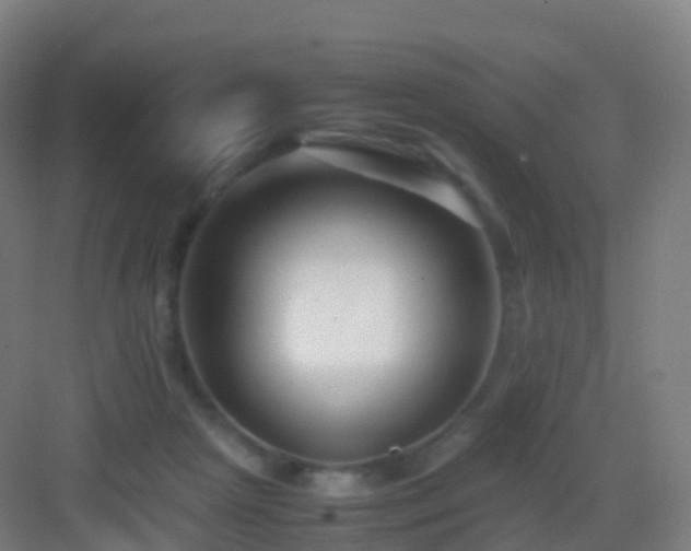 X0000083060265200702091512
