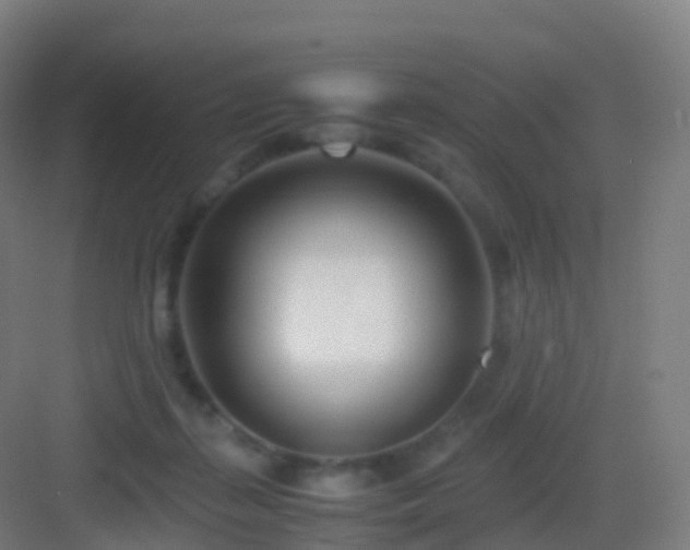 X0000083060267200702091512