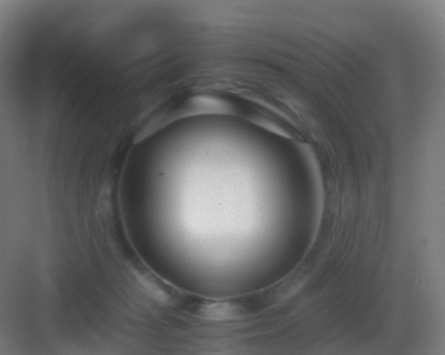 X0000083060269200702091512