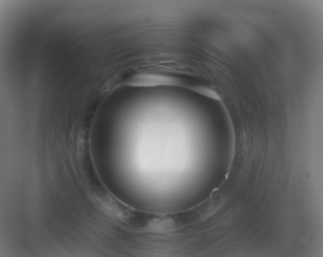 X0000083060271200702091512