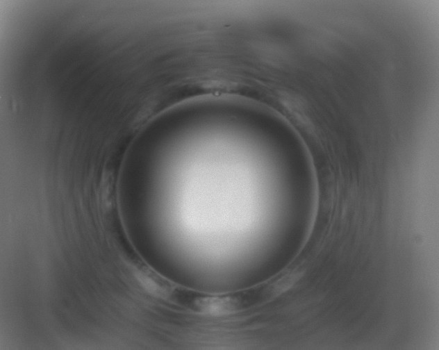 X0000083060273200702091512