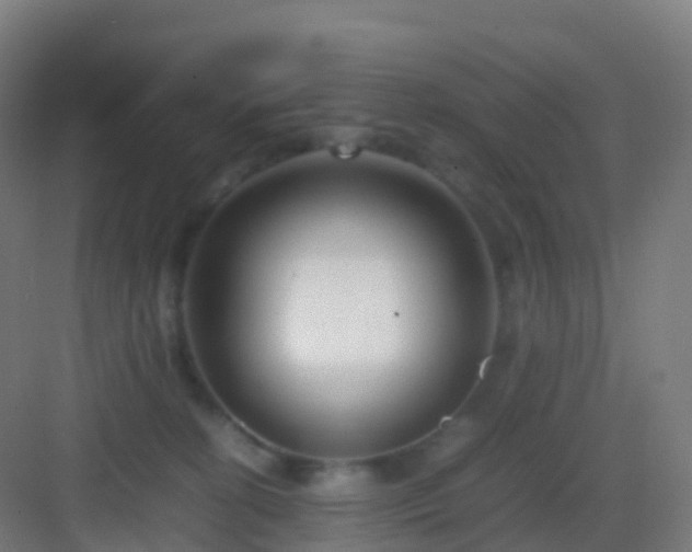 X0000083060274200702091512