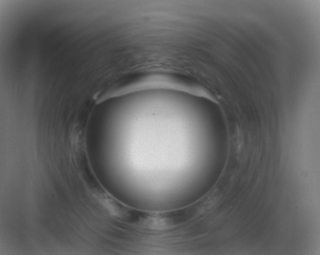 X0000083060276200702091512