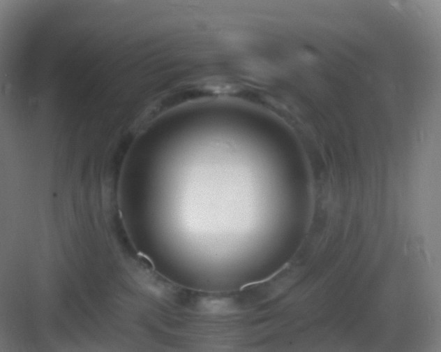 X0000083060283200702091512