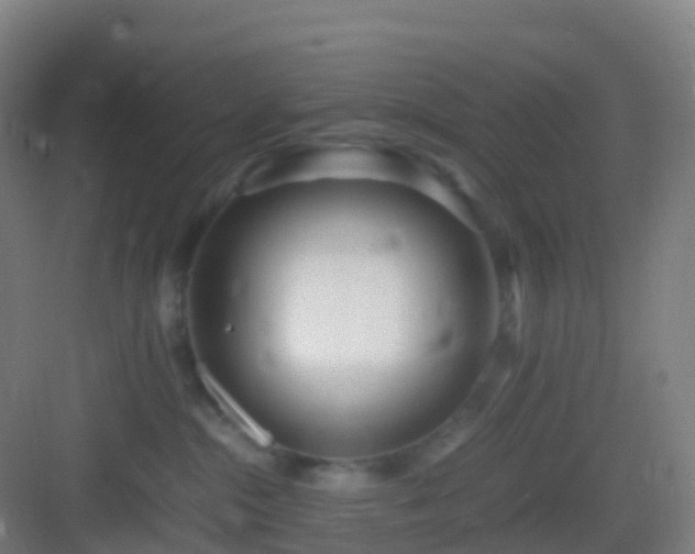 X0000083060284200702091512