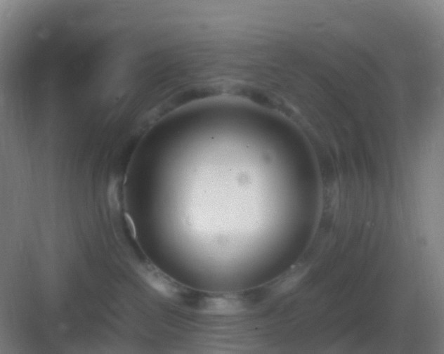 X0000083060286200702091512