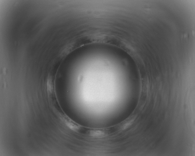 X0000083060287200702091512