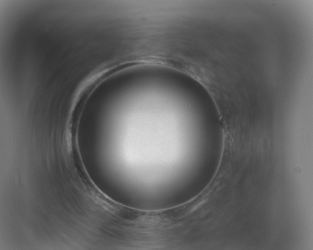 X0000083060294200702091511