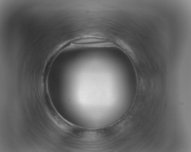 X0000083060298200702091511