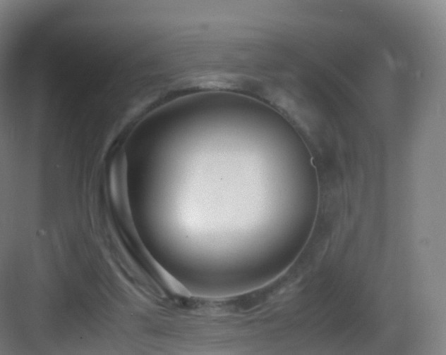 X0000083060299200702091511