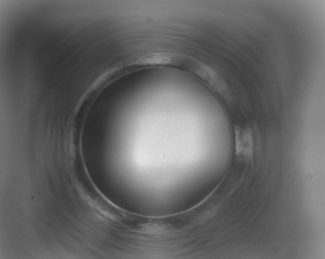X0000083060300200702091511