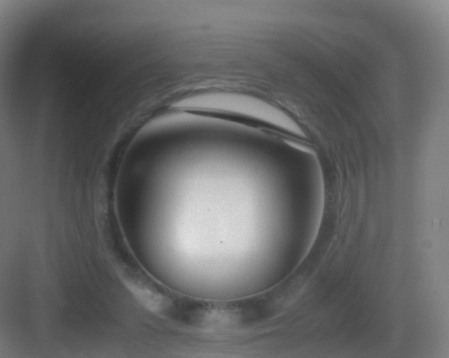 X0000083060303200702091511
