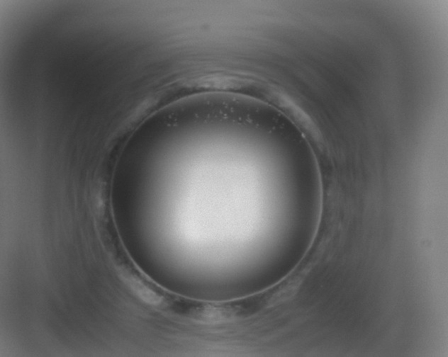 X0000083060305200702091511