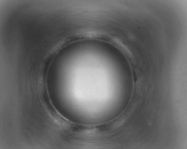 X0000083060306200702091511