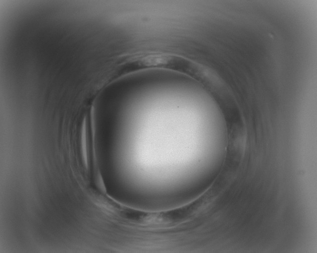 X0000083060315200702091511