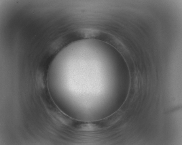 X0000083060316200702091511
