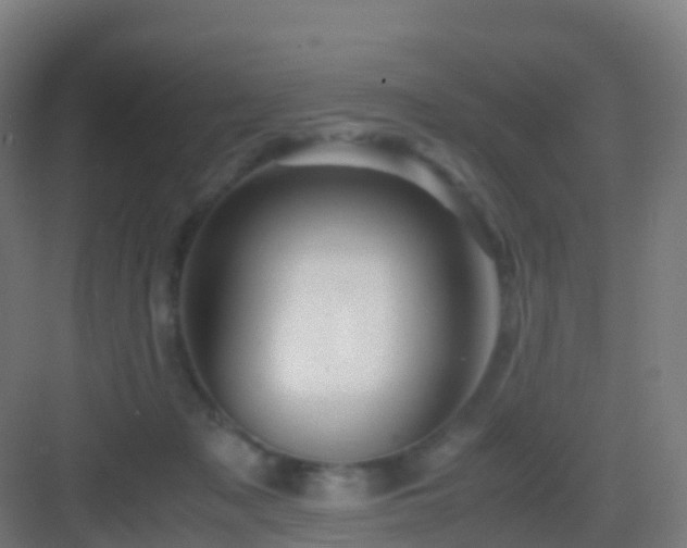 X0000083060317200702091511