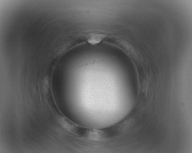 X0000083060321200702091511
