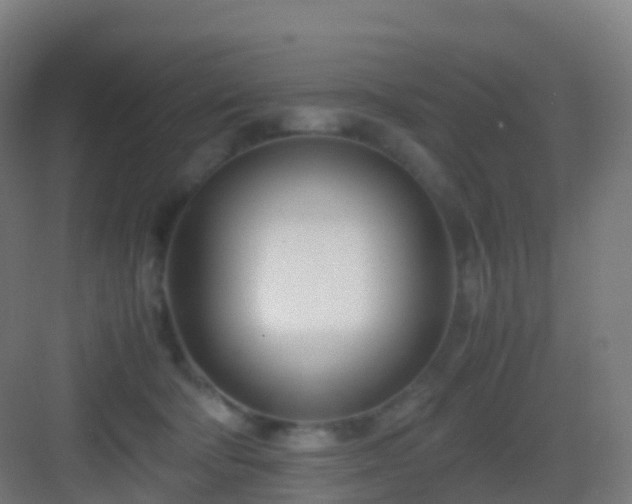 X0000083060322200702091511
