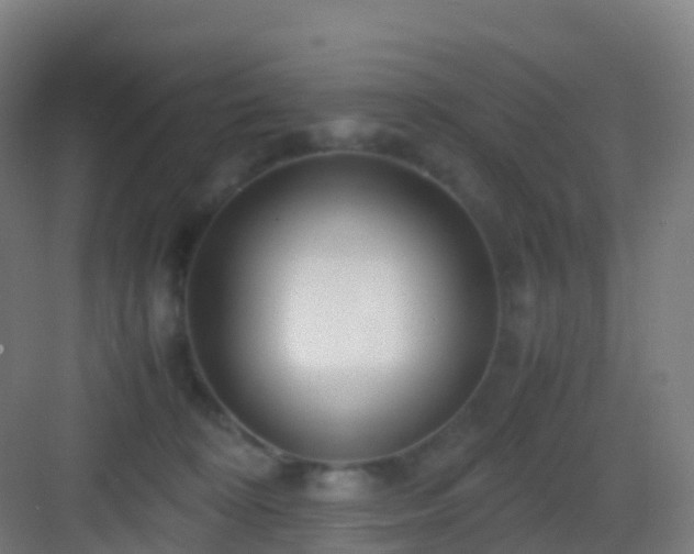 X0000083060324200702091511