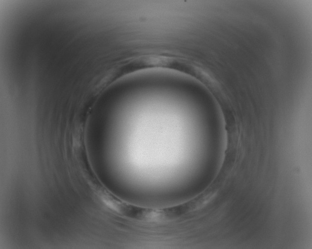 X0000083060325200702091511