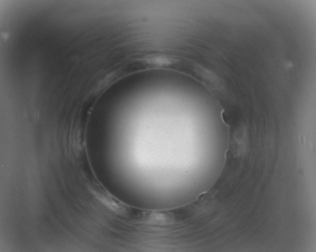 X0000083060330200702091511