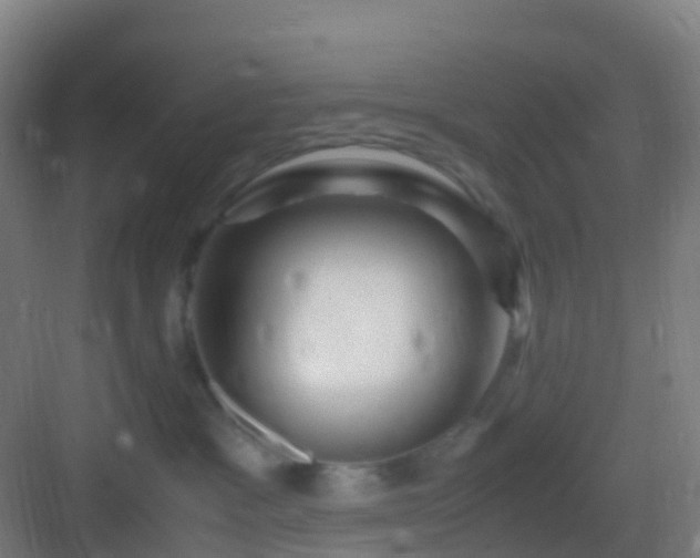 X0000083060333200702091511