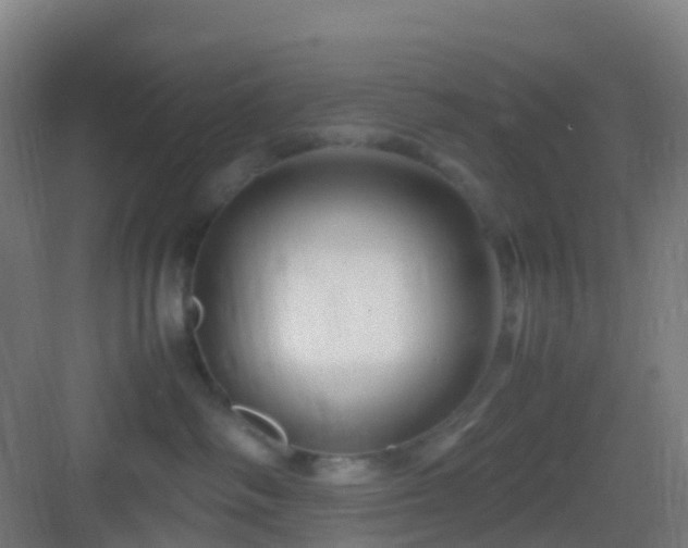 X0000083060334200702091511