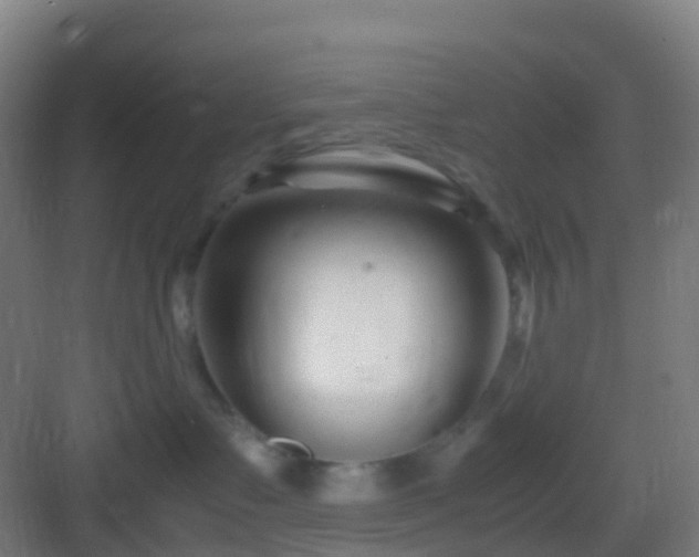 X0000083060335200702091511