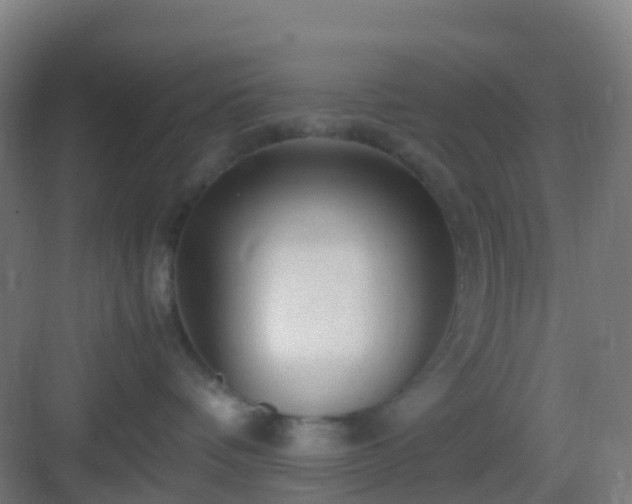 X0000083060336200702091511