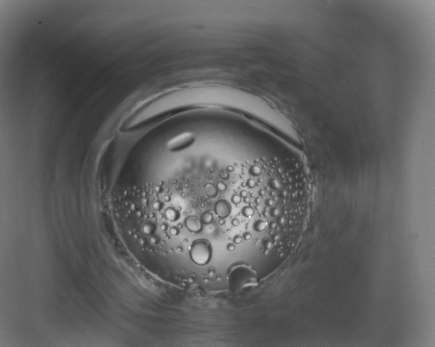 X0000083060339200702091510
