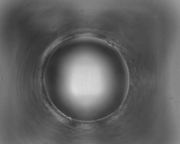 X0000083060341200702091510