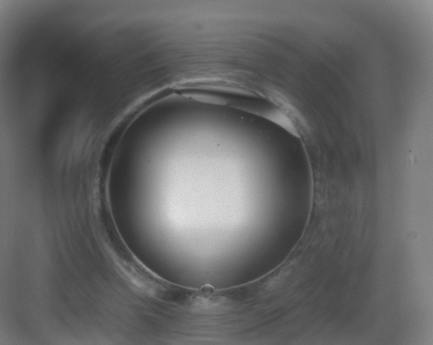 X0000083060346200702091510