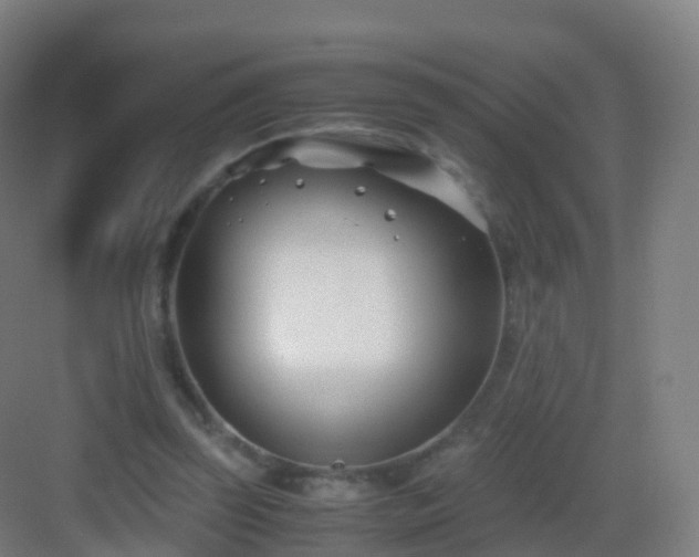 X0000083060347200702091510