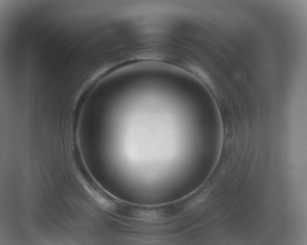 X0000083060349200702091510