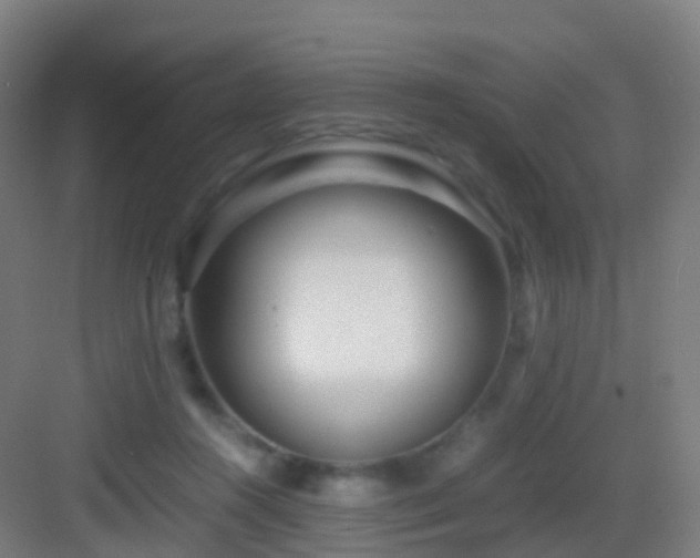 X0000083060360200702091510