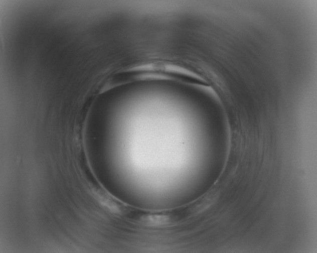 X0000083060361200702091510