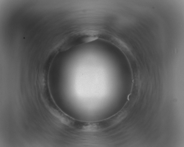 X0000083060362200702091510