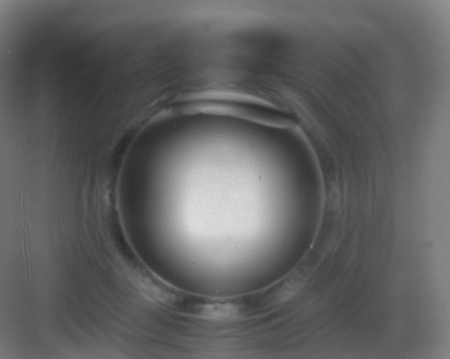 X0000083060363200702091510