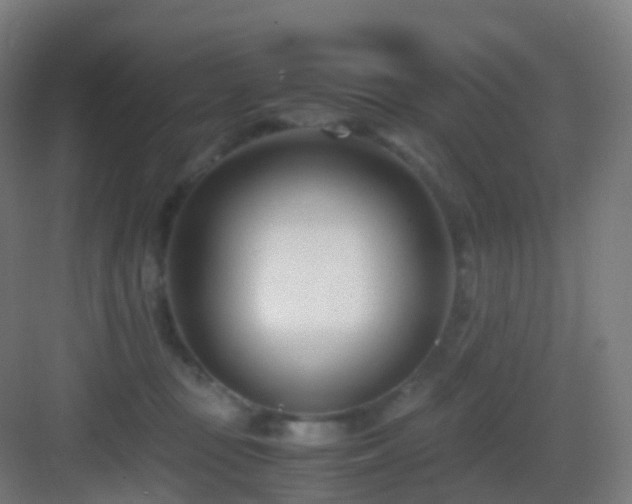 X0000083060371200702091510