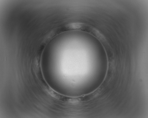 X0000083060373200702091511