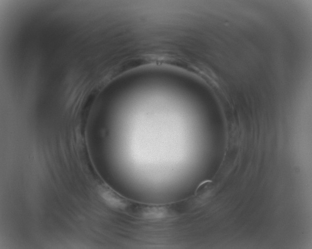 X0000083060377200702091511