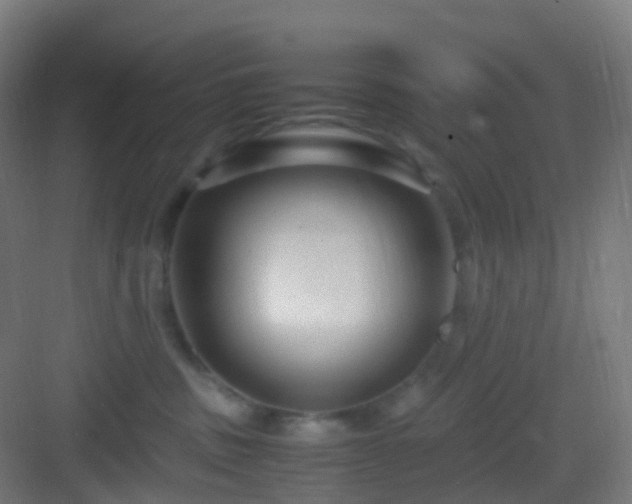X0000083060379200702091511