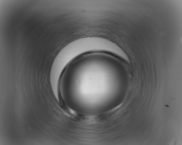 X0000083060384200702091511