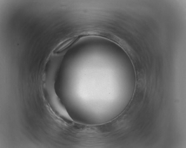 X0000083060386200702091510
