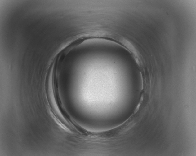 X0000083060389200702091510