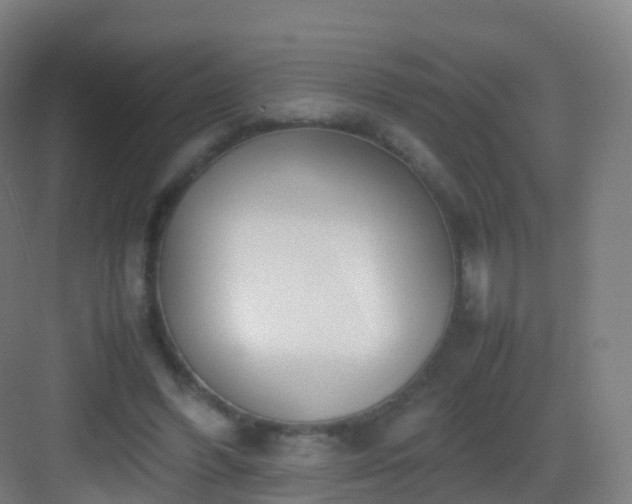 X0000083060396200702091510