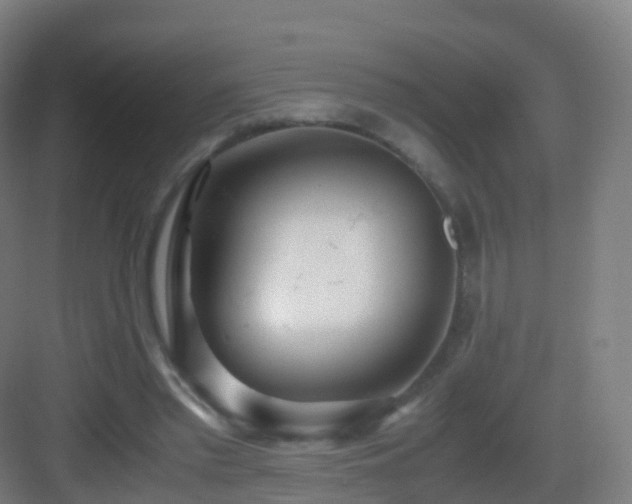 X0000083060397200702091510