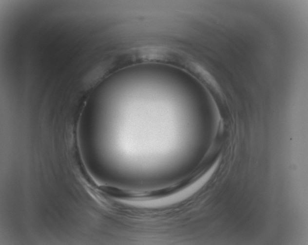 X0000083060401200702091510